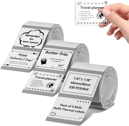Lot de 3 étiquettes compatibles avec les imprimantes d'étiquettes NIIMBOT B1, B21, B3S, 40 x 30 mm, impression noire sur papier d'étiquetage blanc, 230 étiquettes par rouleau (transparent)