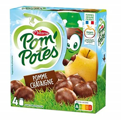 Materne Compote à la pomme et à la châtaigne - Les 4 gourdes de 90g