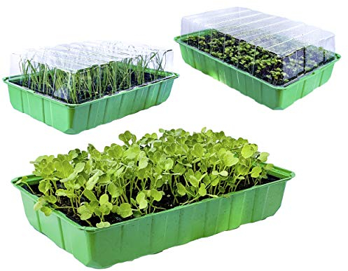 KliKil bacs à semis Serre semis pour Potager Exterieur/Interior - Bac a semis avec 3 Plateaux, 3 récipients en Plastique Transparent et 3 Plateaux de Serre pour semis de 24 Pots. Mini Serre