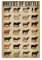 SIGNCHAT Wand-Poster mit Rinderrassen, Wissen, Metall, 20,3 x 30,5 cm