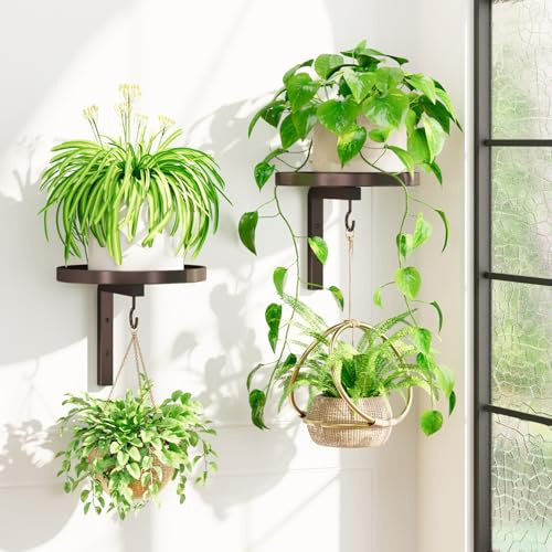 iDavosic.ly Wand Pflanzenhalter Metall 2er-Set, 2 Haken, Bronze | Blumenständer Platzsparendes Wandregal Blumenregal für Pflanzen am Fenster, einfache Montage (Ohne Töpfe/Ketten/Pflanzen)