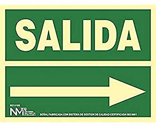 Normaluz RD14100 - Señal Luminiscente Salida Derecha Clase B PVC 0,7mm 22,4x30cm con CTE, RIPCI Nueva Legislación