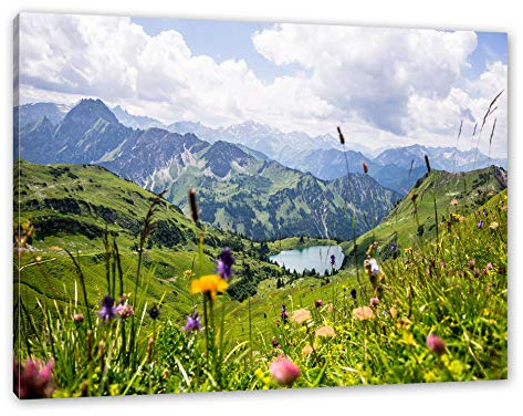 Pixxprint Wiesenblumen in den Bergen, Größe: 100x70cm, Leinwandbild, fertig gespannt, Wandbild, Dekoration, Kunstdruck, kein Poster