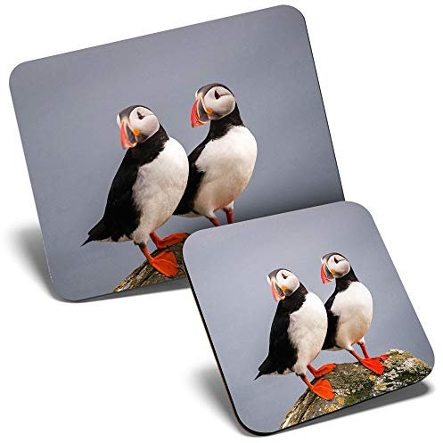 Mouse Mat & Coaster Set - Puffin Couple Pelagic Sea 23.5 x 19.6 cm & 9 x 9 cm for Computer & Laptop, Office, Gift, Non-slip Base #14150