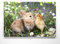 Bezauberndes Osterbild zur Dekoration, Osterhase & Kücken - als großes XXL Leinwand-Bild 120x80cm. Ideal als Wandbild für Küche, Wohnzimmer & Kinderzimmer. Aufgespannt auf 2cm Holzrahmen