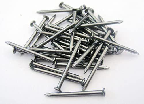 TERF® High Quality Bright Round Wire Nails 25mm (1 inch) Round Nail Use for Soft and Hard Timber Material Wood Joinery Furniture Craft Construction Applications and General Purpose Use - Pack of 500