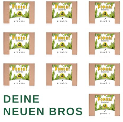 10 X Bonsai Mimose Anzuchtset - Züchte deinen eigenen Bonsai inkl. Achtsamkeitskarten im hochwertigem Starter-Kit - Perfektes Geschenk
