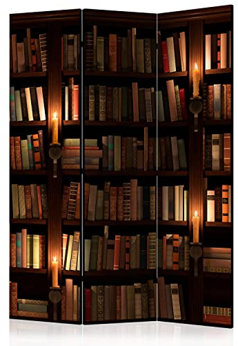 murando - Paravent Raumteiler Innen Bibliothek 135x172 cm 3-teilig Einseitig Raumtrenner Raum Trennwand Holz Room Divider Mobiler Sichtschutz Spanische Wand Raum Bücher Lesezimmer f-B-0142-z-b