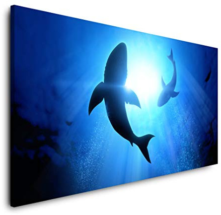 Weißer Hai 120x 60cm Panorama Leinwand Bild XXL Format Wandbilder Wohnzimmer Wohnung Deko Kunstdrucke