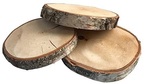 3 Birkenholzscheiben - Baumscheiben - Natur - unbehandelt - ca.Ø 18-25 cm x ca. 2-3 cm Höhe - 1VE = 3 Stück - 26975 …