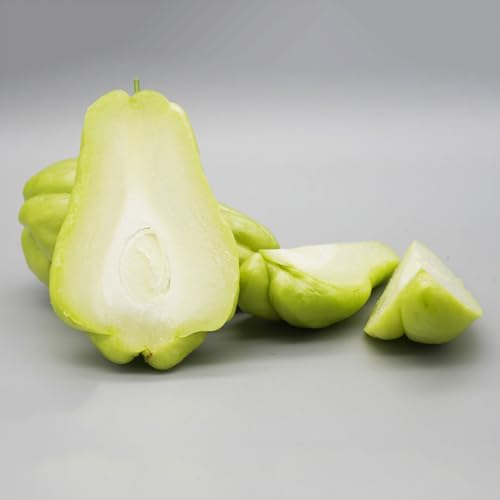 30 Pcs Chayote Pflanze Kaufen Samen - Sechium Edule - Gartenpflanzen Winterhart Mehrjährig, Gemüse Anzucht, Chayote Samen, Steingartenpflanzen Winterhart, Gemüsesaat, Saatgut Gemüse,