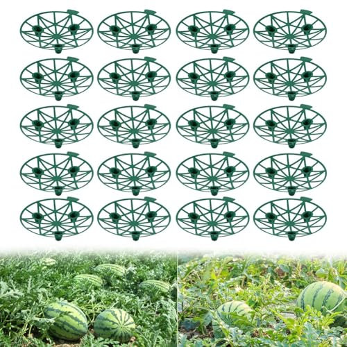 20 supporti per fragole, melone, anguria, supporto per piante da giardino, serra, melone, melata, fragola