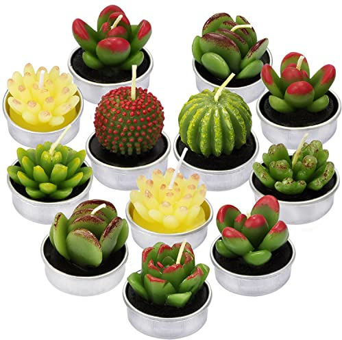 LA BELLEFÉE Kerzen Kaktus Teelicht Kerzen Sukkulenten Kerzen rauchfreie Kerzen für Home Dekoration und Weihnachten Geschenke - 12er Set