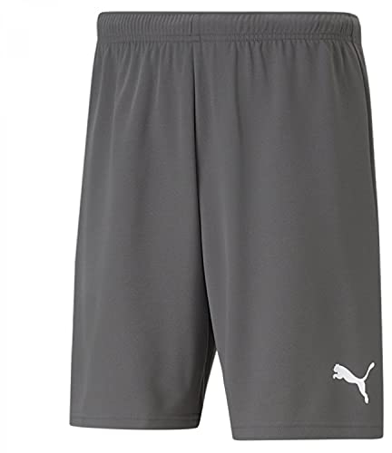 PUMA Short de Football Team Rise pour Homme Gris/Blanc Taille L