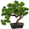 CREATIV green künstlicher Bonsai Kiefer Baum 40 x 40cm I Bonsai Baum künstlich mit Kunststoff-Topf 22 x 15 x 6cm in schwarz I künstliche Pflanzen als Wohnzimmer Deko I Kunstpflanze Bonsai