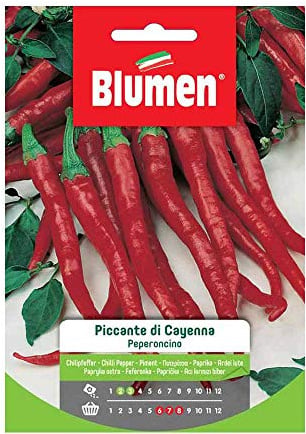 SEMI PEPERONCINO CAYENNA BLUMEN