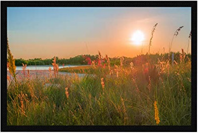 VERO HOME 18301 Fußmatte | Motiv Natur Sommer-Wiese | Für Ihren Eingangs-Bereich | Maße: 60 x 40 cm