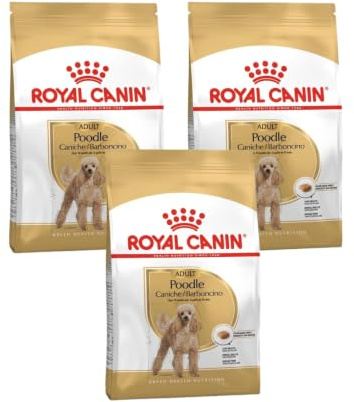 Poodle Adult | Trockenfutter für Hunde | 3 x 500 g | Für Pudel ab 10. Monat | Royal Canin | Alleinfuttermittel | Mit ausgewählten Proteinen | 3er Pack