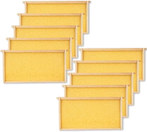 Hanured® 10 Stück Tiefbrut-Rahmen mit Wachs-Mittelwand für Bienenstöcke, Bienenwachs-beschichtete Kunststoff-Mittelwände, Imker Zubehör, 23 cm
