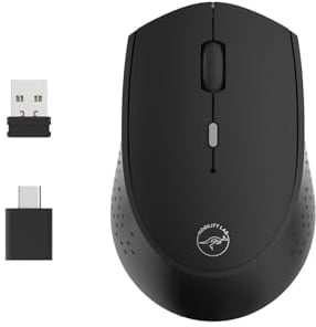 MOBILITY LAB - Souris sans Fil Rechargeable USB-C pour Mac et Windows