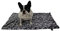 Made in Germany Hundedecke, Knochen Anthrazit, 95 x 135cm für kleine & große Hunde I Flauschige Hunde Sommerdecke, waschbar, trocknergeeignet