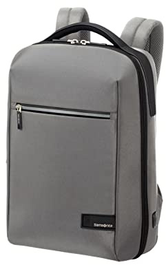Samsonite Sacs à Dos Litepoint, Taille Standard, Gris (Gris), Taille Standard, Sacs à Dos