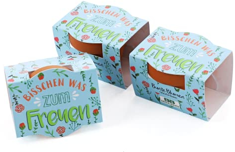 Bull & Bear 3er Set Mini-Pflanzset `Bisschen was zum Freuen´, Blumensamen im Topf 4,5cm, bunte Blumen als Anzuchtset mit Pflegeanleitung