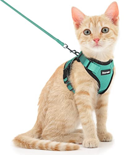 Dooradar Katzengeschirr mit Leine Ausbruchsicher, Katzenleine mit Geschirr für Katzen Mittelgroße, Reflektierend, Katzengeschirr Große Katze, XS, Grün