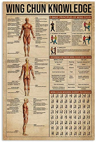 Metallblechschilder „Wing Chun Knowledge, Wing Chun-Informationen, Retro-Poster, populärwissenschaftliche Diagramme, Wandtafeln, Dekoration für Zuhause, Klassenzimmer, Zimmer, Büro, 30,5 x 40,6 cm