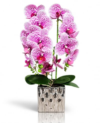 PASCH® XXL Orchideen künstlich im silbernen Keramiktopf (55cm) | Kunstblumen im Topf | Kunstblumen wie echt | künstliche Orchideen im Topf | künstliche Blumen im Topf (Cassis Harlequin)