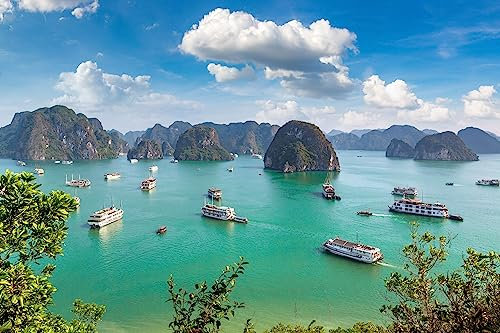 adrium Poster-Bild 140 x 90 cm: Panoramablickansicht in Halong Bay, Vietnam in einem Sommertag (108410593)