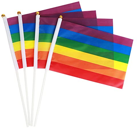 50 Pack Euro Pride Mini Drapeau Arc-En-Ciel Drapeau De Bâton De Poche Pour Rainbow Pride Parade Festival Party Pour LGBT Gay Bisexuel Lesbiennes