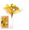 Kunstharz.Art Echte & natürliche getrocknete Blumen als Geschenk zum Muttertag & Ostern, zum Basteln mit Resin oder Osterdekoration, Blüten und Trockenblumen Set, Gastgeschenk für Hochzeit (Gelb)
