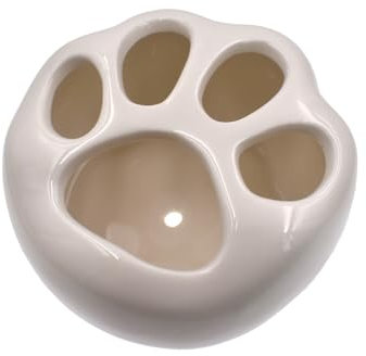 Maceta de cerámica con forma de pata de gato para suculentas, para el hogar, escritorio, 1 maceta blanca