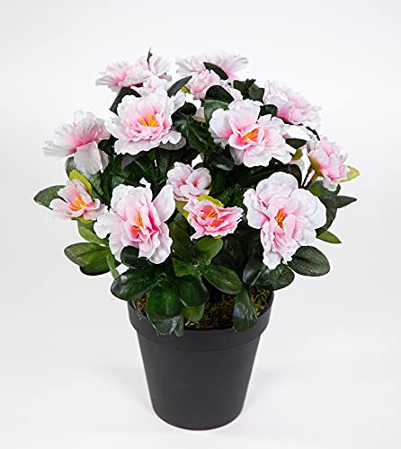 Seidenblumen Roß Azalee 24cm pink-weiß im Topf LA Kunstpflanzen Kunstblumen künstliche Blumen Pflanzen