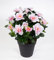 Seidenblumen Roß Azalee 24cm pink-weiß im Topf LA Kunstpflanzen Kunstblumen künstliche Blumen Pflanzen
