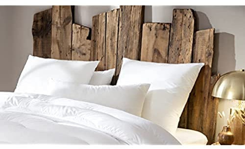 Abeil Lot de 2 Oreillers Dourêve Absolu Ferme Blanc 60 x 60 cm, fabriqué en France
