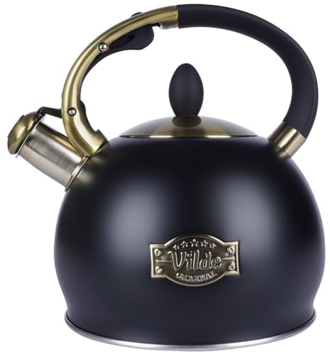 Bouilloire sifflante en acier inoxydable Noir 3 l
