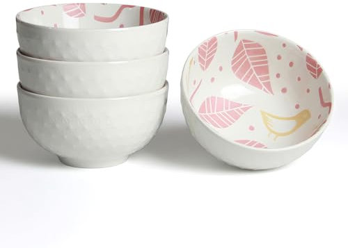 AOOSY Porzellan Müslischalen Set Dessertschalen,350ml Reisschale Suppenschüssel Bowl Schüssel,Salatschüssel aus Porzellan Schüssel Keramik Schüsselsets für Salat, Suppen, Ramen, Reis Satz mit 4