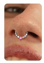 BodyBonita 16G Septum Piercing Schmuck – 316L Edelstahl Nasenring Nasenpiercing mit Zirkonia für Frauen Männer Conch Helix Piercings Tragus Daith Knorpel Ohrpiercing Silber 8mm Vivid Spectrum