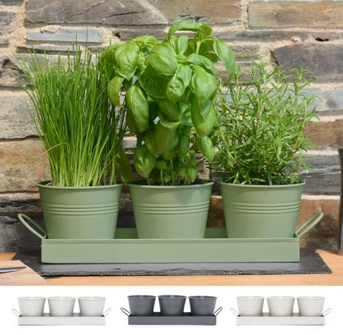 CKB LTD Set di 3 vasi per erbe aromatiche in metallo con vassoio antigoccia, per interni, per davanzale, colorati, per la cucina, per coltivare le proprie erbe aromatiche da cucinare (verde salvia)