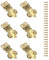 Pack of 6 Small Brass Padlocks Hasps with Screws Gold Metal Hasp Lock Set for Jewelry Boxes & Wood Storage Cabinets