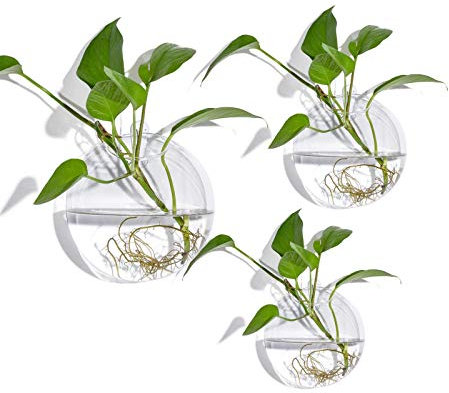 FLBT Lot de 3 vases muraux en Verre à Bol à Bulles, Terrarium à Suspendre au Mur, Vase de jardinière Mural, jardinières murales d'intérieur pour Jardins muraux intérieurs