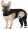Hundebody Nach Op Mit Bein, Wundschutzanzüge für Anti-Wundlecken Op Body Hunde, Kniebandage Hund Hinterbein, Genesungsanzug für Hunde,Hundekragen Alternative,Hundeschenkel Schutz Bodysuit (S)