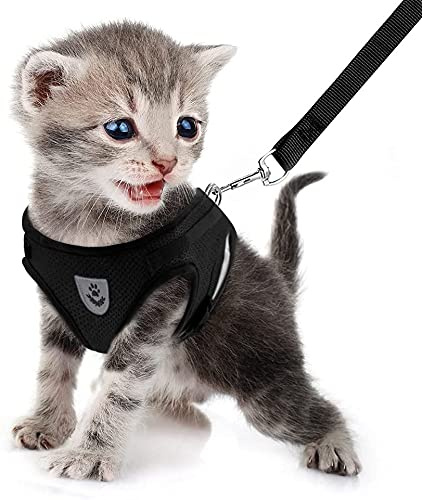 FEimaX Katzengeschirr Geschirr mit Leine Ausbruchsicher Weich Mesh Welpengeschirr Reflektierend Verstellbar Katzen Weste für Kleine Hunde Katzen Chihuahua