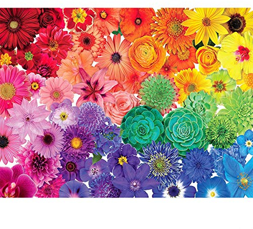 1000 Stück Puzzle - Rainbow Flower - Erwachsene Teenager Kinder Puzzle Großes Puzzle Spielzeug Geschenk Pädagogisch Intellektuell Dekomprimieren Spaß Familienspiel