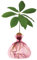 Ilex studio Vasen Avocado Rose Pink Art. 003-1