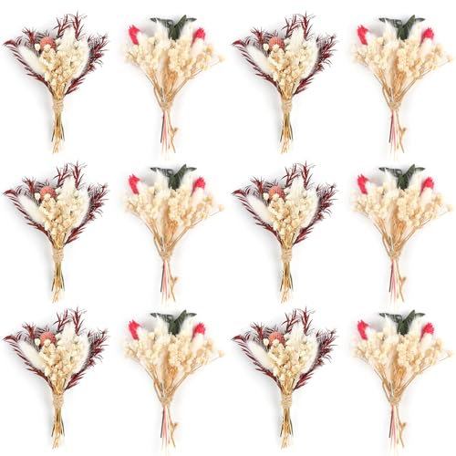 Larber 12 Stück Mini Getrocknete Blumenstrauß Mini Trockenblumenstrauß Trockenblumenstrauß Klein Boho für Fotografie Fotorahmen Wohnkultur Hochzeiten Parteien und Andere Gelegenheiten Dekor