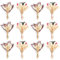 Larber 12 Stück Mini Getrocknete Blumenstrauß Mini Trockenblumenstrauß Trockenblumenstrauß Klein Boho für Fotografie Fotorahmen Wohnkultur Hochzeiten Parteien und Andere Gelegenheiten Dekor