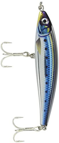 Rapala Unisex-Adult X-Rap Magnum Prey Locken, Hd Blue Sardine, 10cm